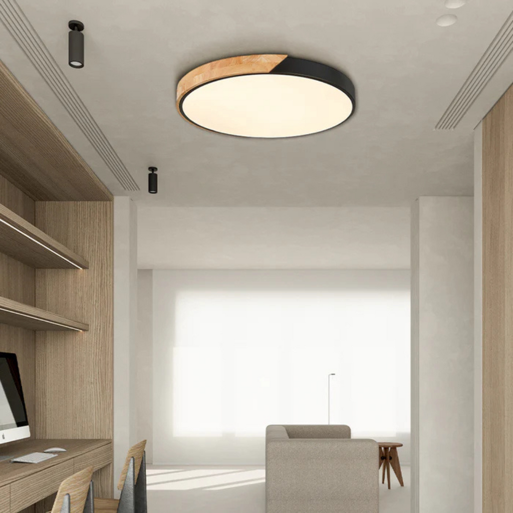 LED Ceiling Light
