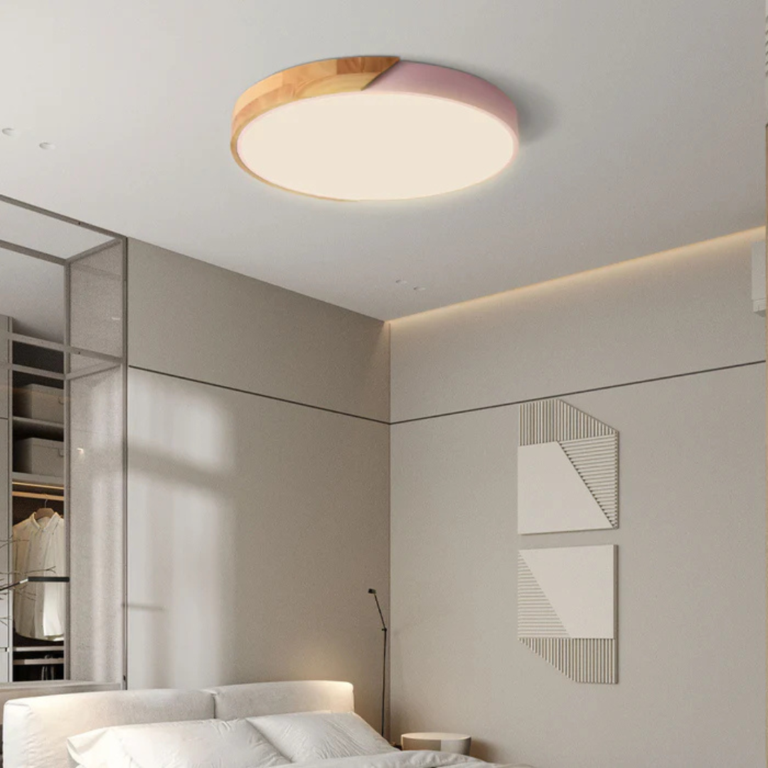 LED Ceiling Light
