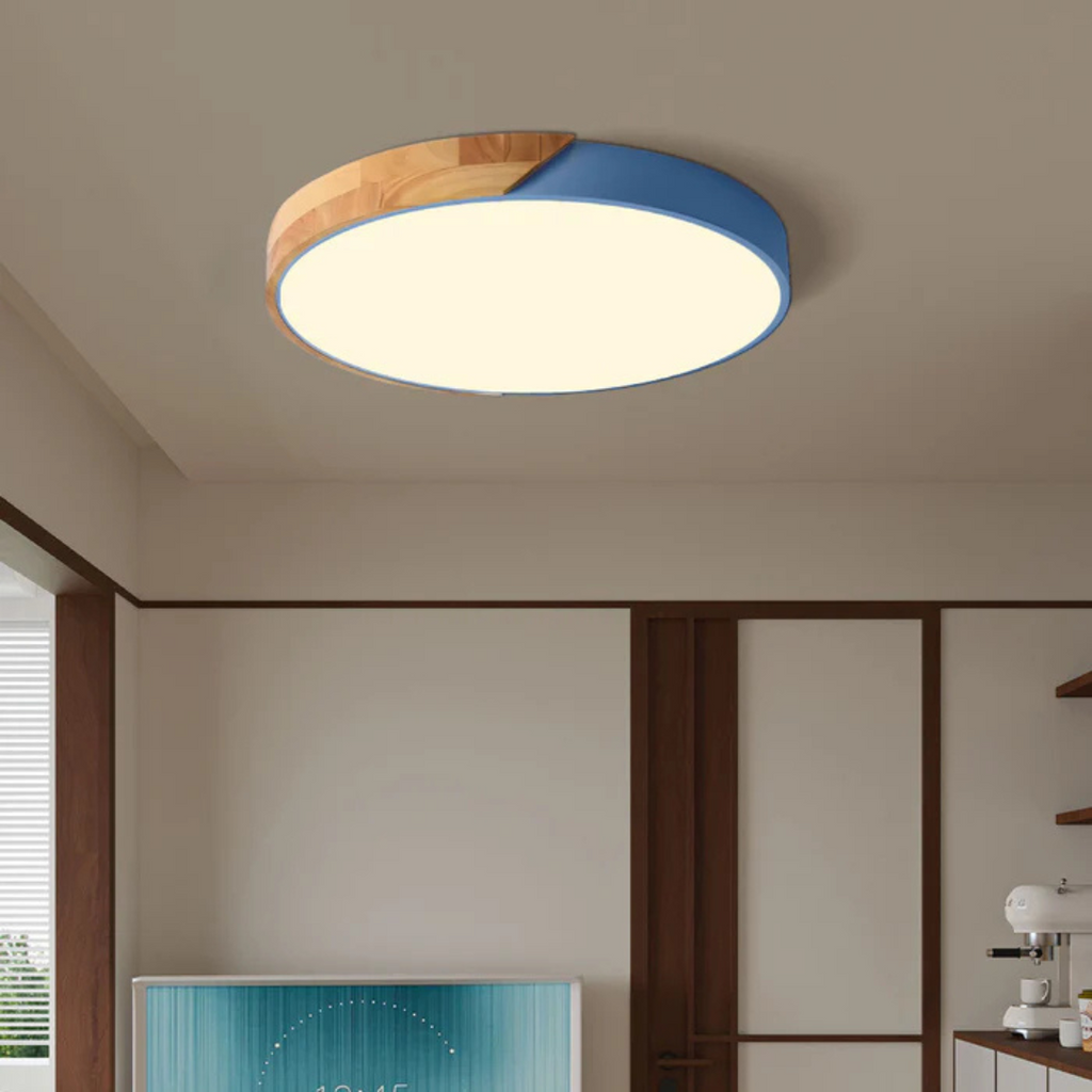 LED Ceiling Light
