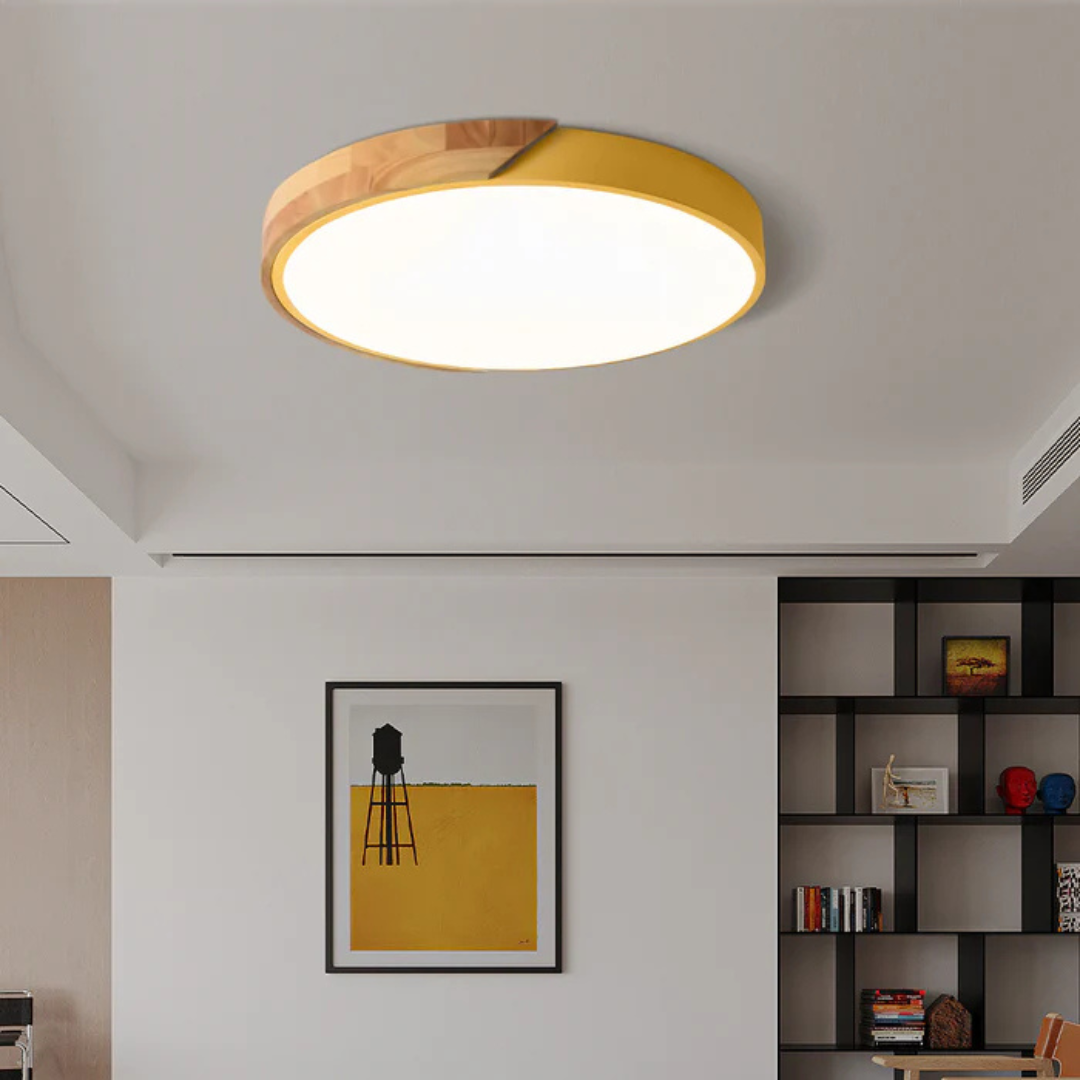 LED Ceiling Light
