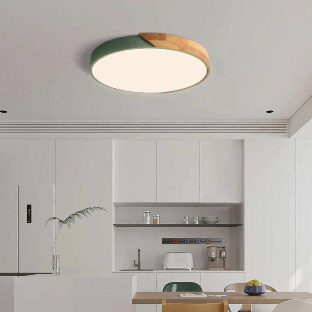 LED Ceiling Light
