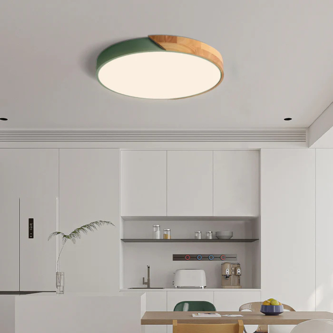 LED Ceiling Light
