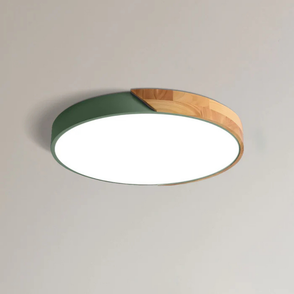 LED Ceiling Light