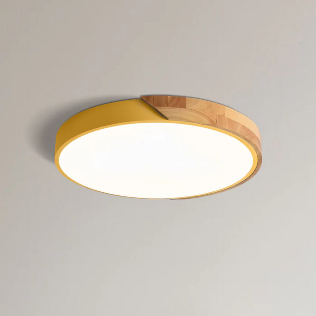 LED Ceiling Light