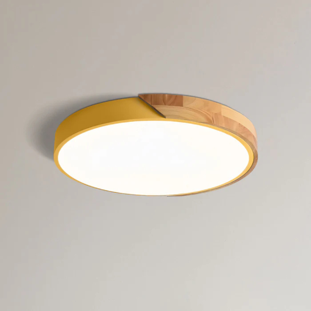 LED Ceiling Light