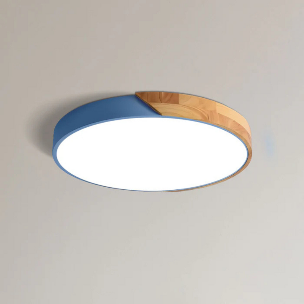 LED Ceiling Light