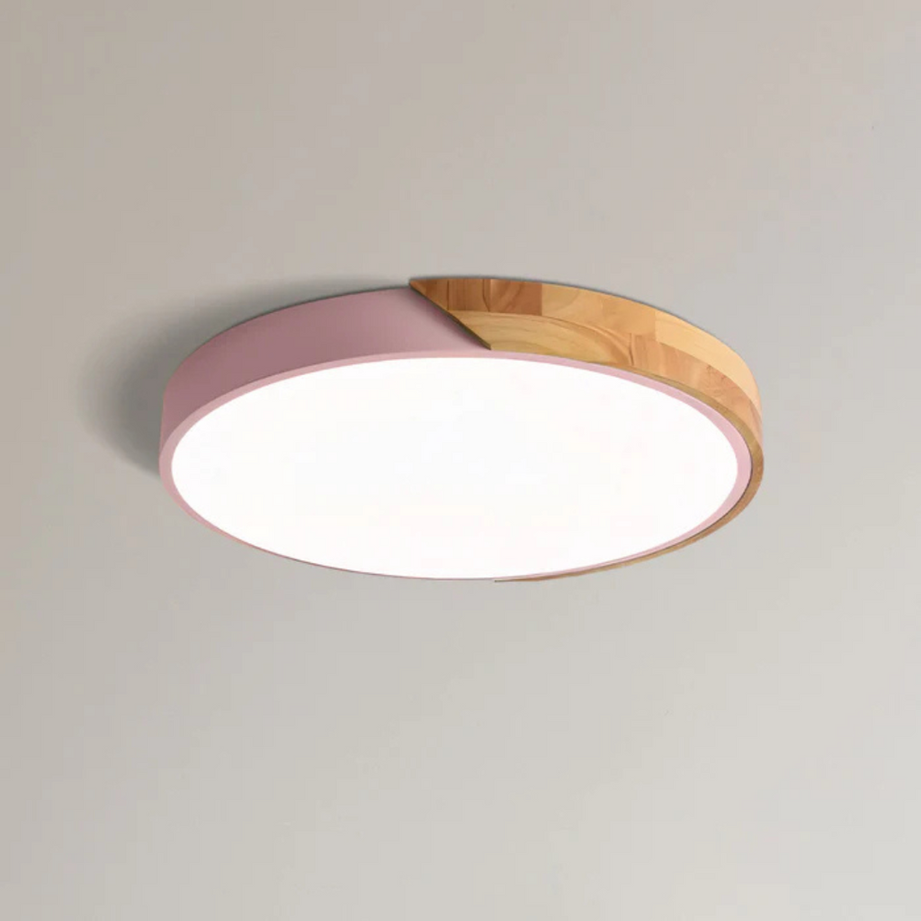 LED Ceiling Light