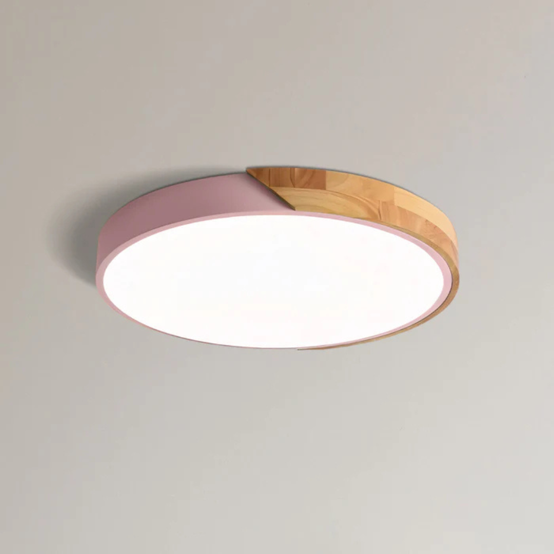 LED Ceiling Light