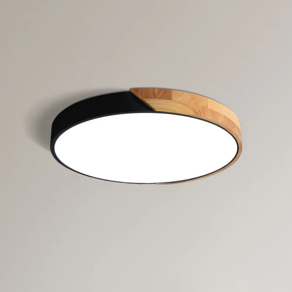 LED Ceiling Light