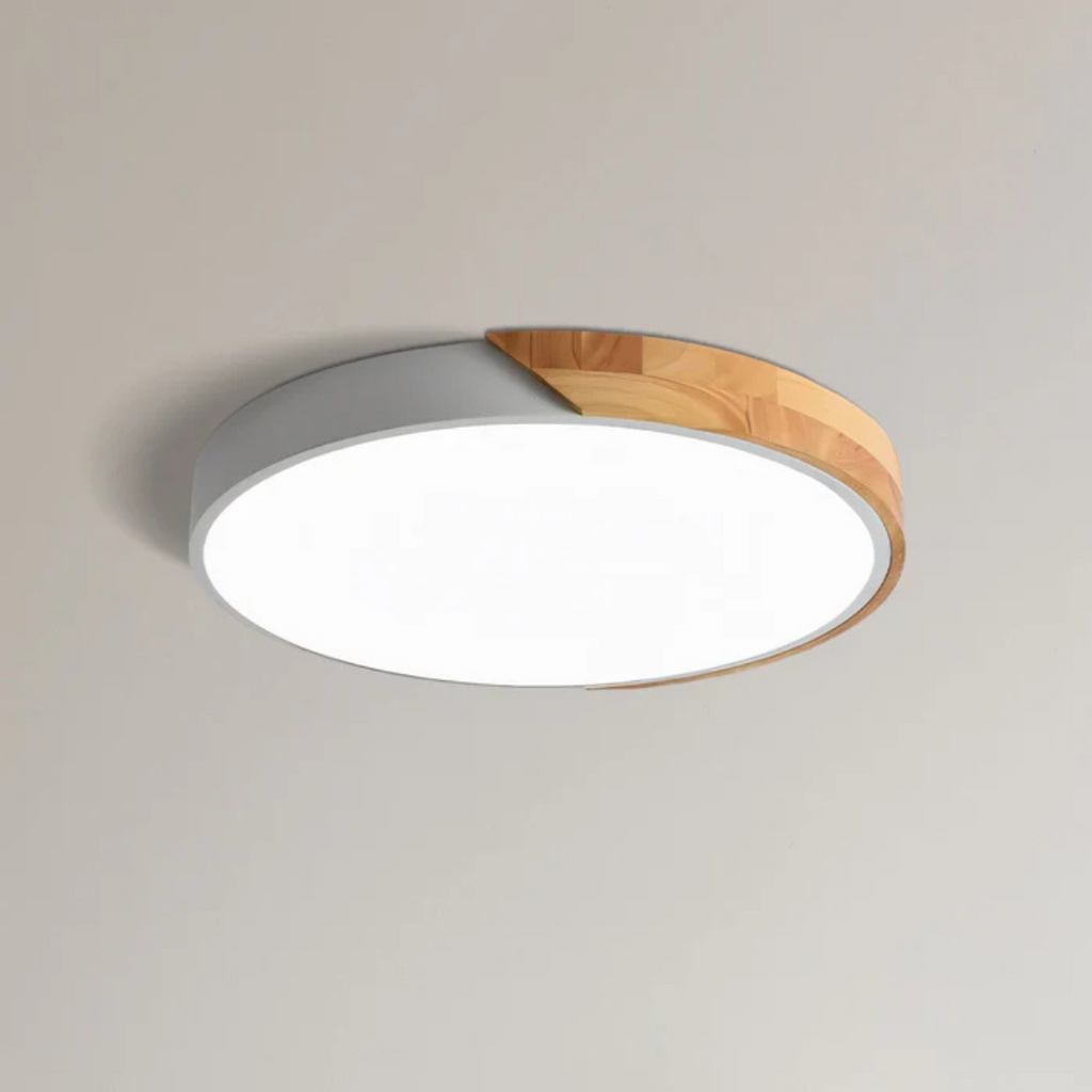 LED Ceiling Light