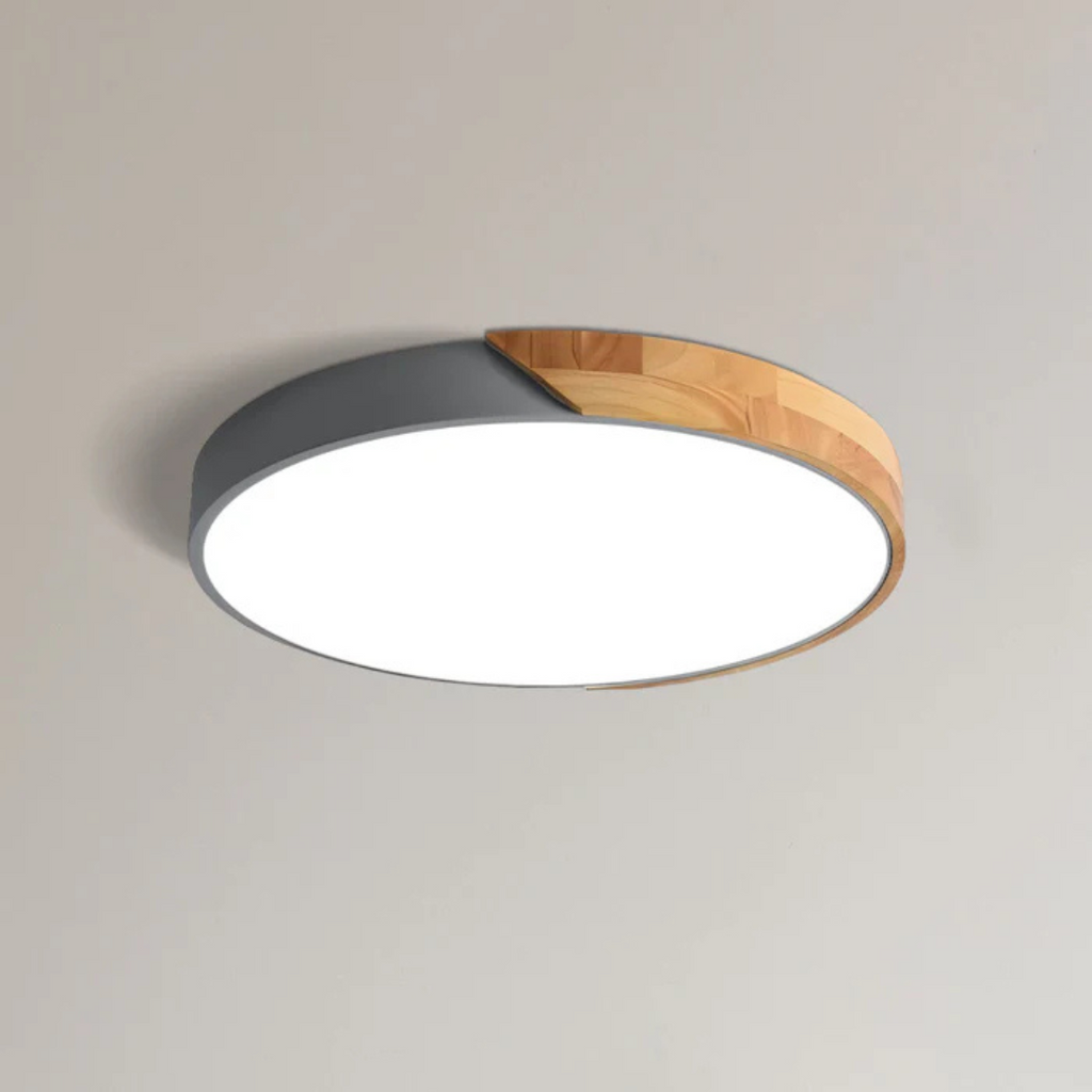 LED Ceiling Light