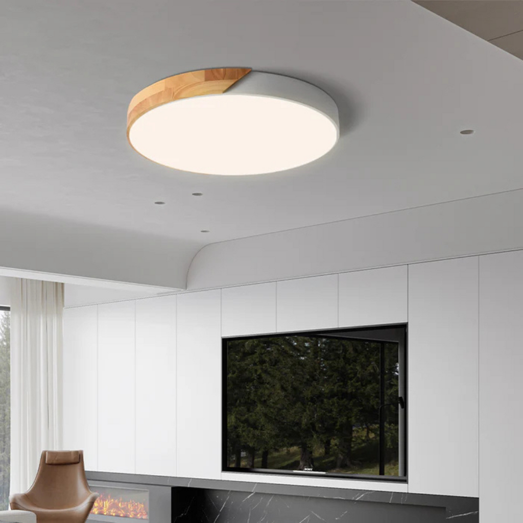 LED Ceiling Light