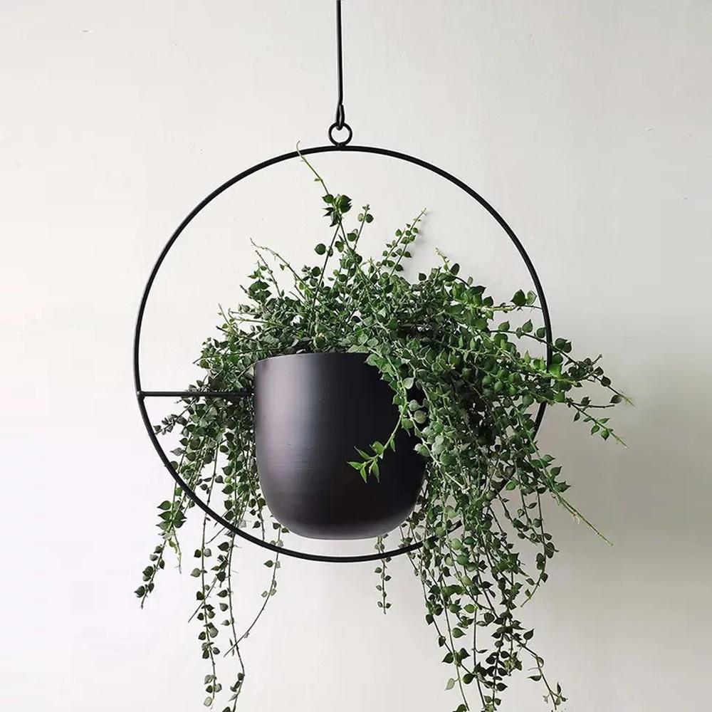 FloraFrame Hanging Planter