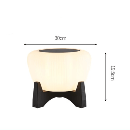 Solar Landing Light